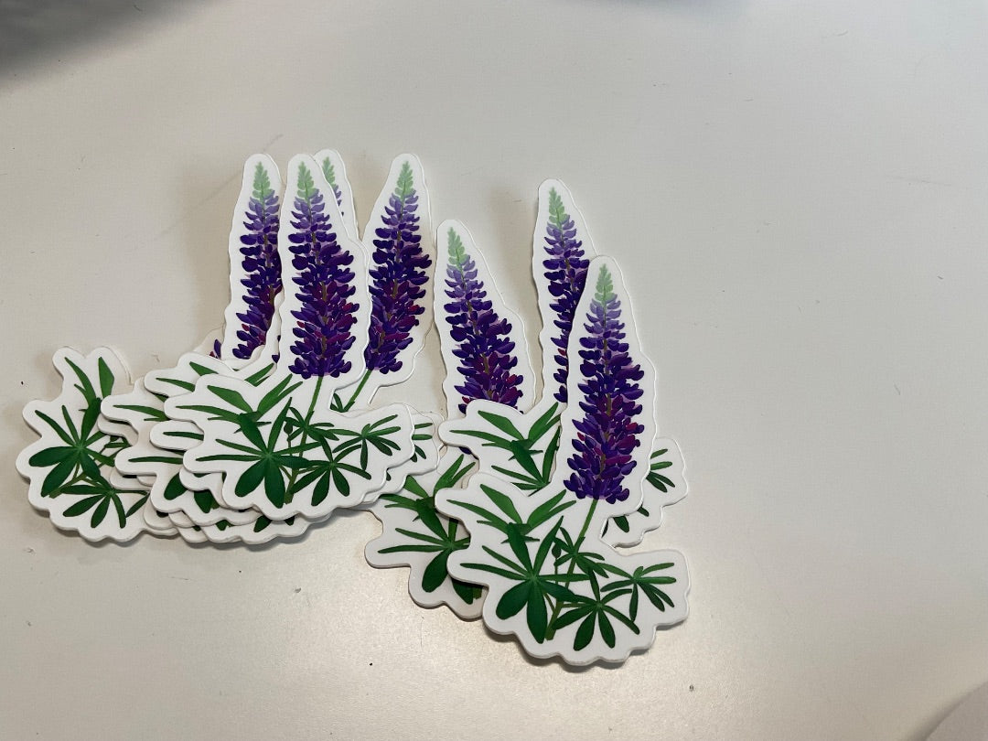 Mountain Lupine Lupine Design Stickers